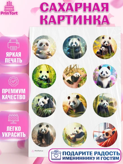 Сахарная картинка, Панда, Животные, Девочка, День рождения, арт. PT111412