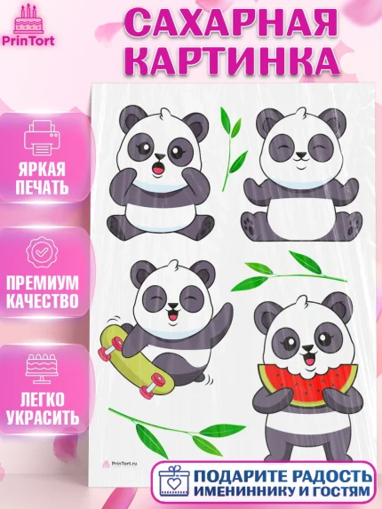 Сахарная картинка, Панда, Животные, Девочка, День рождения, арт. PT111413