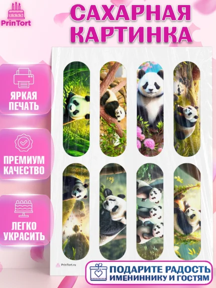 Сахарная картинка, Панда, Животные, Девочка, День рождения, арт. PT111415