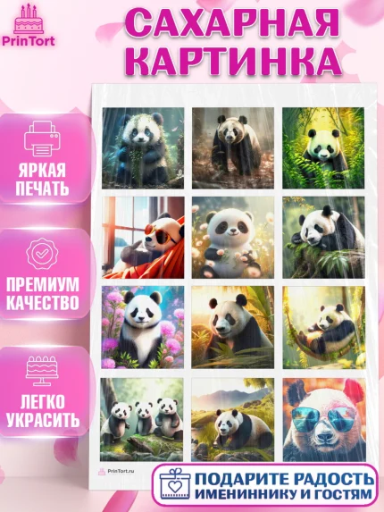 Сахарная картинка, Панда, Животные, Девочка, День рождения, арт. PT111417