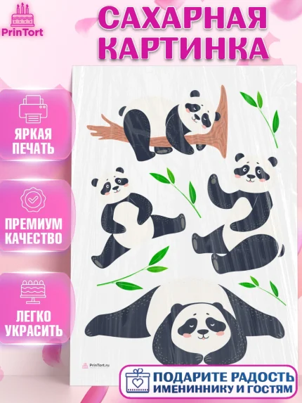 Сахарная картинка, Панда, Животные, Девочка, День рождения, арт. PT111419
