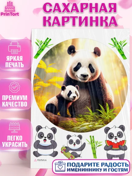 Сахарная картинка, Панда, Животные, Девочка, День рождения, арт. PT111423