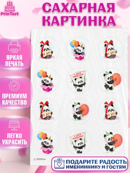 Сахарная картинка, Панда, Животные, Девочка, День рождения, арт. PT111424