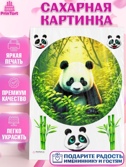 Сахарная картинка, Панда, Животные, Девочка, День рождения, арт. PT111429