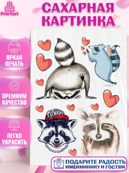 Сахарная картинка, Енот, Животные, Девочка, День рождения, арт. PT111433