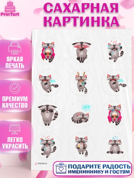 Сахарная картинка, Енот, Животные, Девочка, День рождения, арт. PT111437