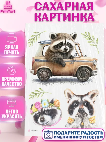 Сахарная картинка, Енот, Животные, Девочка, День рождения, арт. PT111438