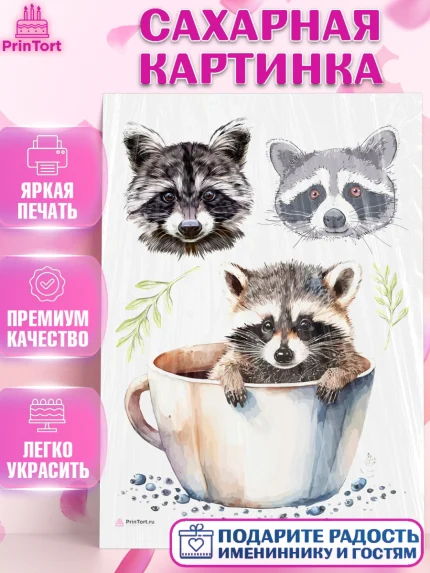 Сахарная картинка, Енот, Животные, Девочка, День рождения, арт. PT111442