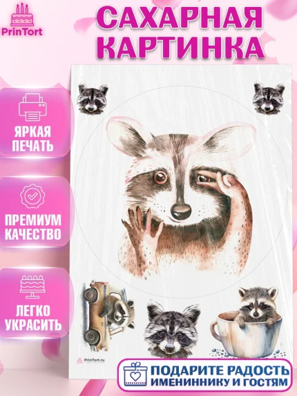 Сахарная картинка, Енот, Животные, Девочка, День рождения, арт. PT111443