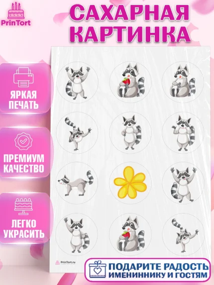 Сахарная картинка, Енот, Животные, Девочка, День рождения, арт. PT111444