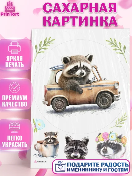 Сахарная картинка, Енот, Животные, Девочка, День рождения, арт. PT111448
