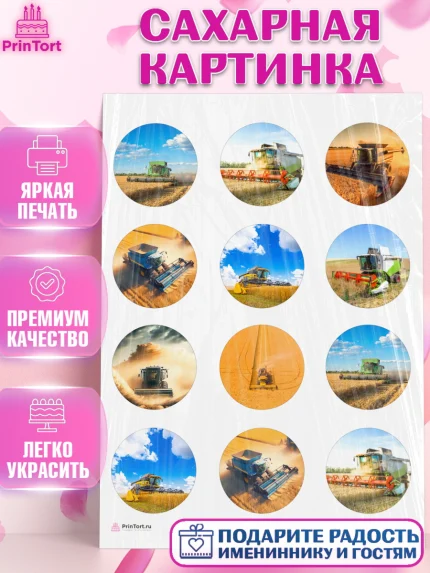 Сахарная картинка, Комбайнер, Девочка, День рождения, арт. PT113361