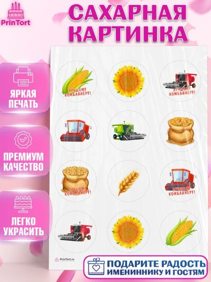 Сахарная картинка, Комбайнер, Девочка, День рождения, арт. PT113366