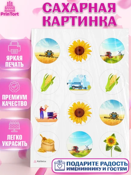 Сахарная картинка, Комбайнер, Девочка, День рождения, арт. PT113370