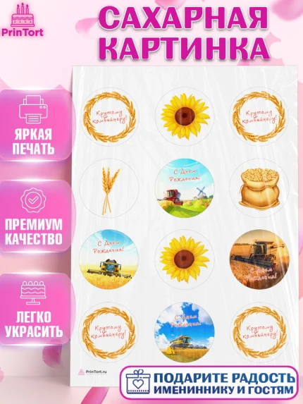 Сахарная картинка, Комбайнер, Девочка, День рождения, арт. PT113373
