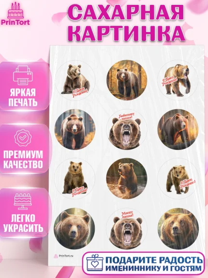 Сахарная картинка, Медведь, Мальчик, День рождения, арт. PT113529