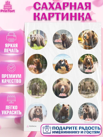 Сахарная картинка, Медведь, Мальчик, День рождения, арт. PT113541