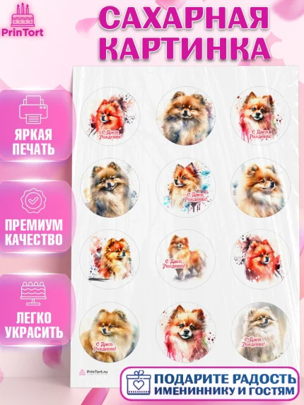 Сахарная картинка, Шпиц, Девочка, День рождения, арт. PT113549