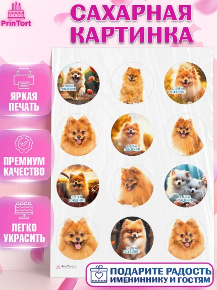 Сахарная картинка, Шпиц, Девочка, День рождения, арт. PT113553