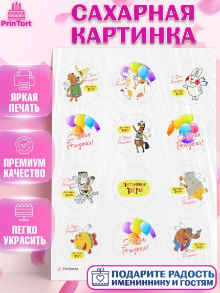 Сахарная картинка, Летающие звери, Девочка, День рождения, арт. PT116412