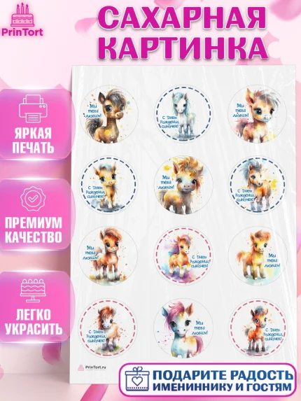 Сахарная картинка, Пони, лошадка, Мальчик, День рождения, арт. PT117061