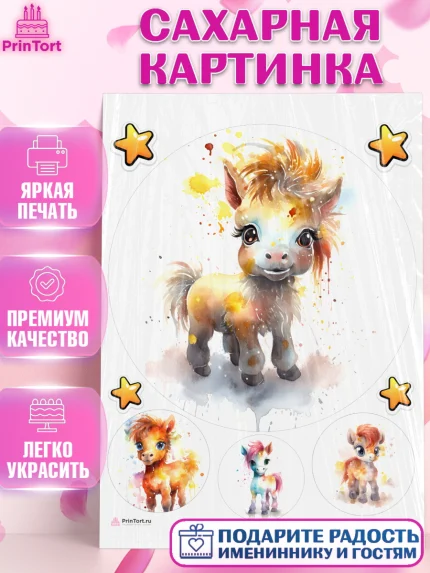 Сахарная картинка, Пони, лошадка, Девочка, День рождения, арт. PT117066