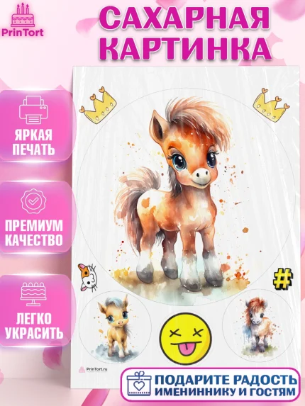 Сахарная картинка, Пони, лошадка, корона, смайл, Девочка, День рождения, арт. PT117072