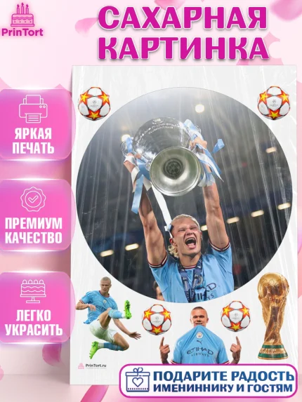 Сахарная картинка, Эрлинг Холланд, футболист Эрлинг Холланд, Мальчик, День рождения, арт. PT117111