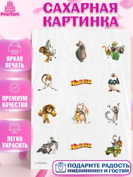 Сахарная картинка, Мадагаскар, Зебра, лев, жираф, бегемот, пингвины, Девочка, День рождения, арт. PT117366