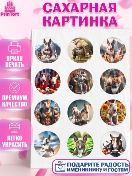 Сахарная картинка, Бультерьер, Собака, Девочка, День рождения, арт. PT118307