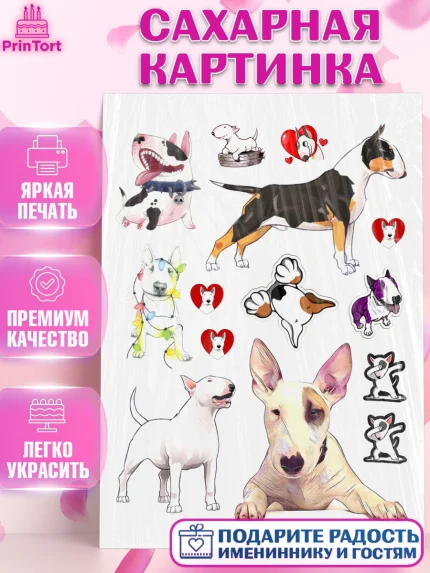 Сахарная картинка, Бультерьер, Собака, Девочка, День рождения, арт. PT118314