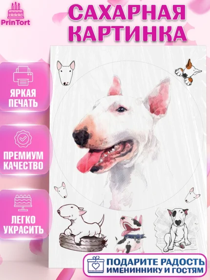 Сахарная картинка, Бультерьер, Собака, Девочка, День рождения, арт. PT118320