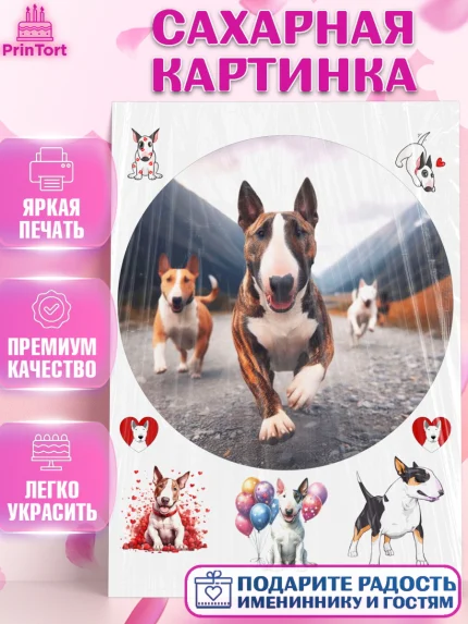 Сахарная картинка, Бультерьер, Собака, Девочка, День рождения, арт. PT118323