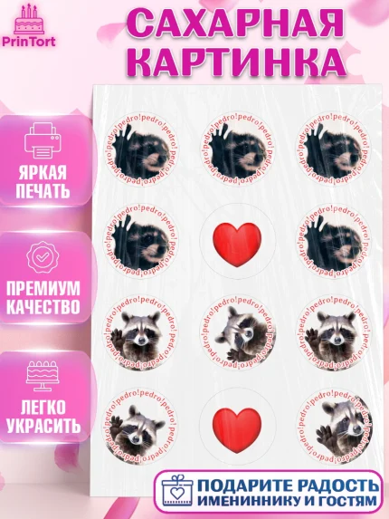 Сахарная картинка, Енот Педро-педро, Енот, педро-педро, танцующий енот, Девочка, День рождения, арт. PT118477