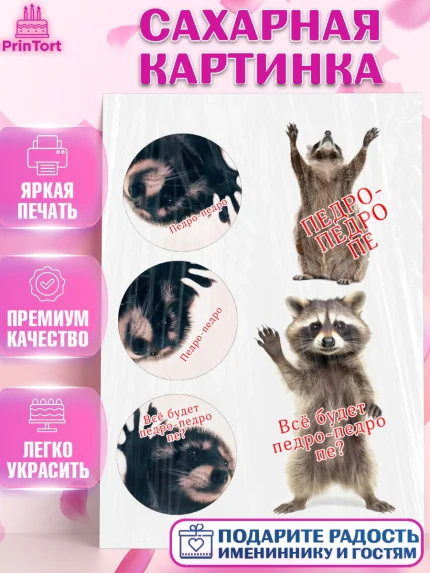 Сахарная картинка, Енот Педро-педро, Енот, педро-педро, танцующий енот, Девочка, День рождения, арт. PT118478
