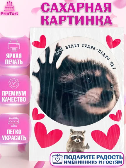 Сахарная картинка, Енот Педро-педро, Енот, педро-педро, танцующий енот, Девочка, День рождения, арт. PT118479