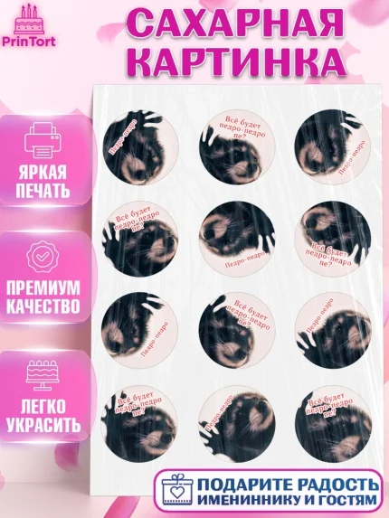 Сахарная картинка, Енот Педро-педро, Енот, педро-педро, танцующий енот, Девочка, День рождения, арт. PT118480