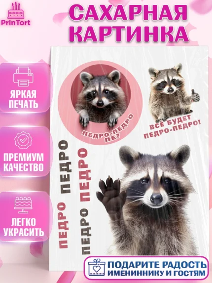 Сахарная картинка, Енот Педро-педро, Енот, педро-педро, танцующий енот, Девочка, День рождения, арт. PT118481