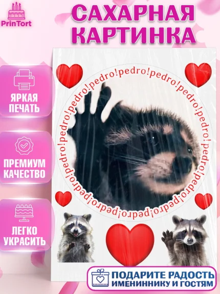Сахарная картинка, Енот Педро-педро, Енот, педро-педро, танцующий енот, Девочка, День рождения, арт. PT118482