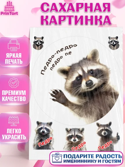 Сахарная картинка, Енот Педро-педро, Енот, педро-педро, танцующий енот, Девочка, День рождения, арт. PT118484