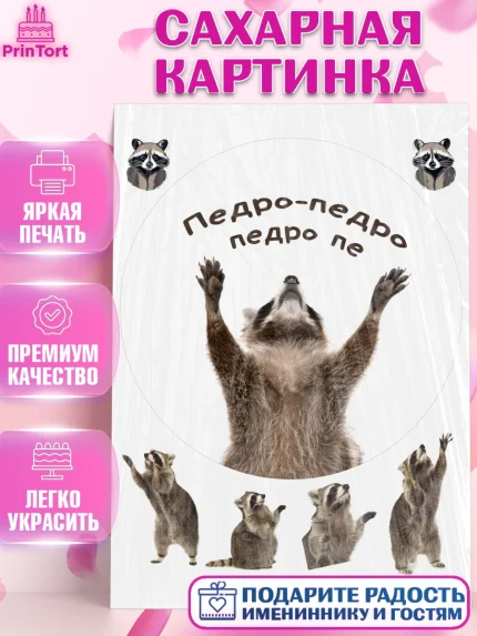 Сахарная картинка, Енот Педро-педро, Енот, педро-педро, танцующий енот, Девочка, День рождения, арт. PT118485