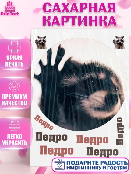 Сахарная картинка, Енот Педро-педро, Енот, педро-педро, танцующий енот, Девочка, День рождения, арт. PT118486