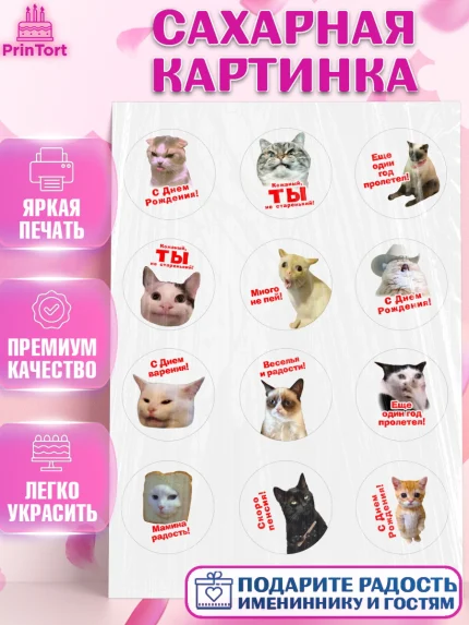 Сахарная картинка, Мемы и коты, кот, мемный кот, кошка, приколы, Девочка, День рождения, арт. PT119319
