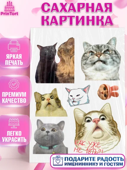 Сахарная картинка, Мемы и коты, кот, мемный кот, кошка, приколы, Девочка, День рождения, арт. PT119320