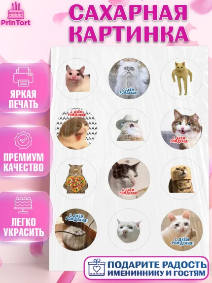 Сахарная картинка, Мемы и коты, кот, мемный кот, кошка, приколы, Девочка, День рождения, арт. PT119322