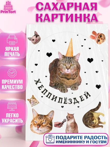 Сахарная картинка, Мемы и коты, кот, мемный кот, кошка, приколы, Девочка, День рождения, арт. PT119324