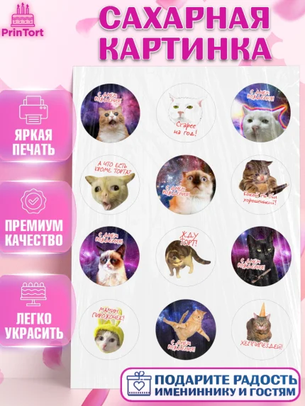 Сахарная картинка, Мемы и коты, кот, мемный кот, кошка, приколы, Девочка, День рождения, арт. PT119325