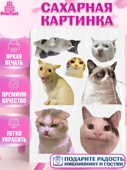 Сахарная картинка, Мемы и коты, кот, мемный кот, кошка, приколы, Девочка, День рождения, арт. PT119326