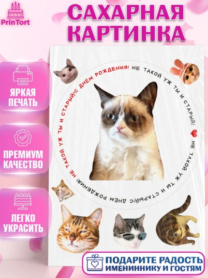 Сахарная картинка, Мемы и коты, кот, мемный кот, кошка, приколы, Девочка, День рождения, арт. PT119327