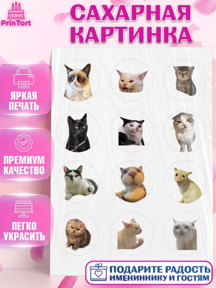 Сахарная картинка, Мемы и коты, кот, мемный кот, кошка, приколы, Девочка, День рождения, арт. PT119328